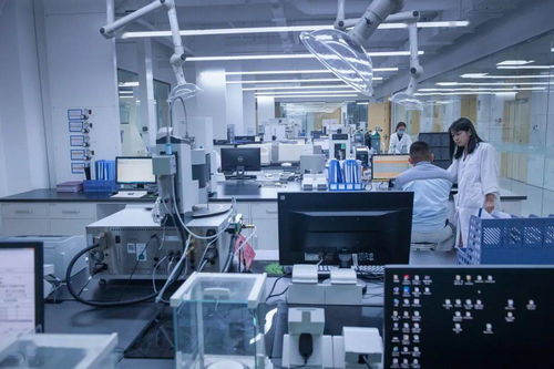 攝影師鏡頭下的dyetdz丨發(fā)展篇 生物基材料技術研發(fā)的光影記錄與未來藍圖