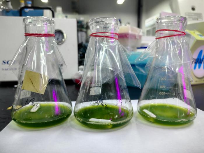 紹興上虞 科技創(chuàng)新驅動，秸稈變身高價值新材料，譜寫綠色經濟新篇章